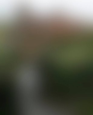 Abstract blur background of colors mixed 