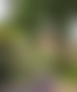 Abstract blur background of colors mixed 