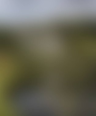 Abstract blur background of colors mixed 