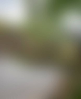 Abstract blur background of colors mixed 