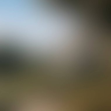 Abstract blur background of colors mixed 