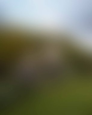 Abstract blur background of colors mixed 