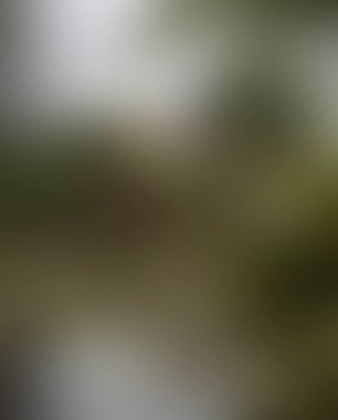 Abstract blur background of colors mixed 