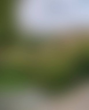 Abstract blur background of colors mixed 