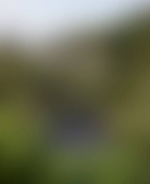 Abstract blur background of colors mixed 