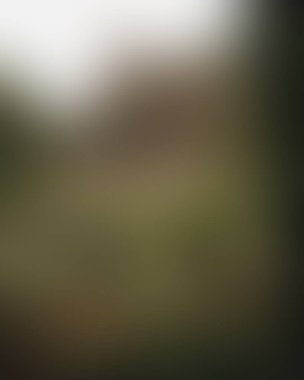 Abstract blur background of colors mixed 