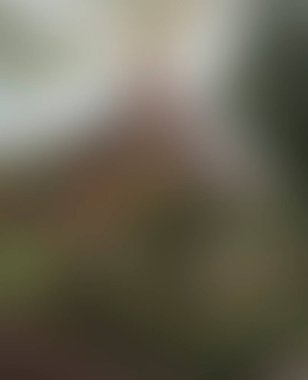 Abstract blur background of colors mixed 