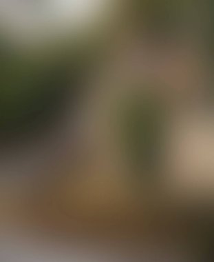 Abstract blur background of colors mixed 