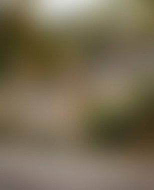 Abstract blur background of colors mixed 