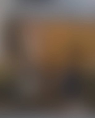 Abstract blur background of colors mixed 