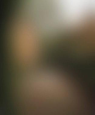 Abstract blur background of colors mixed 