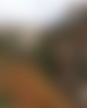 Abstract blur background of colors mixed 