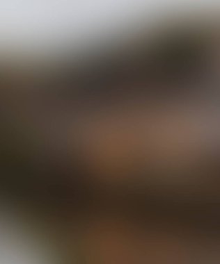 Abstract blur background of colors mixed 