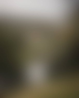 Abstract blur background of colors mixed 