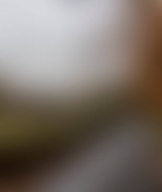 Abstract blur background of colors mixed 