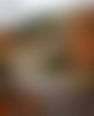 Abstract blur background of colors mixed 