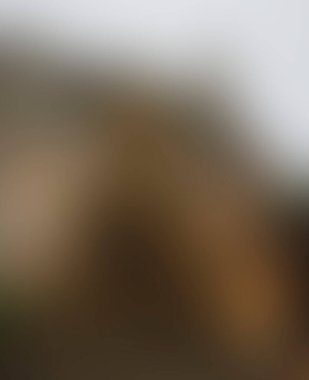 Abstract blur background of colors mixed 