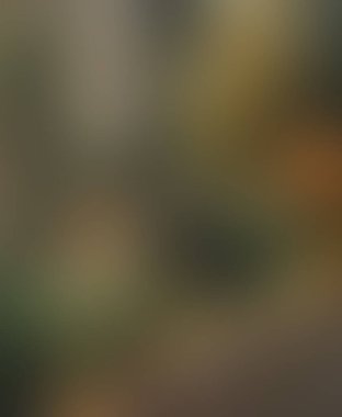 Abstract blur background of colors mixed 