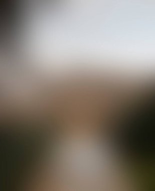 Abstract blur background of colors mixed 