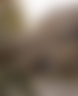 Abstract blur background of colors mixed 