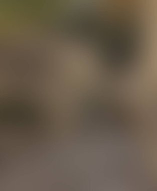 Abstract blur background of colors mixed 