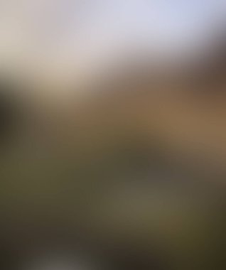 Abstract blur background of colors mixed 