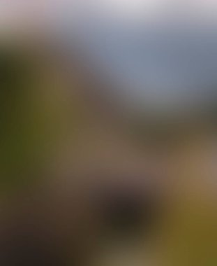 Abstract blur background of colors mixed 