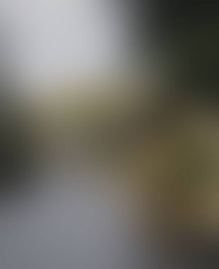 Abstract blur background of colors mixed 