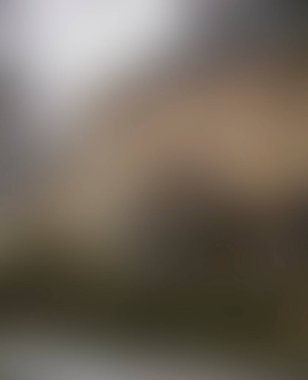 Abstract blur background of colors mixed 