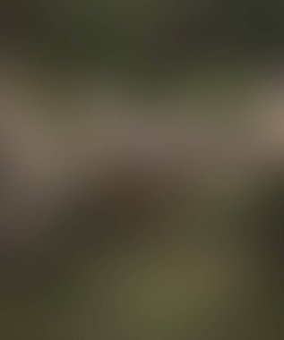 Abstract blur background of colors mixed 