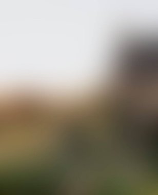 Abstract blur background of colors mixed 