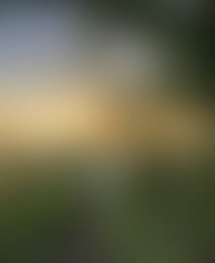 Abstract blur background of colors mixed 