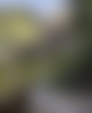 Abstract blur background of colors mixed 