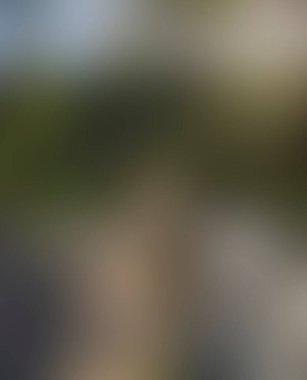 Abstract blur background of colors mixed 