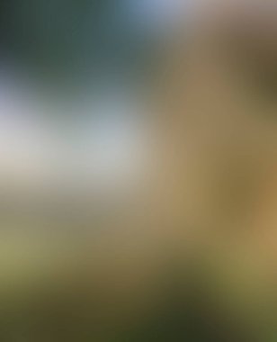 Abstract blur background of colors mixed 