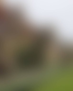 Abstract blur background of colors mixed 