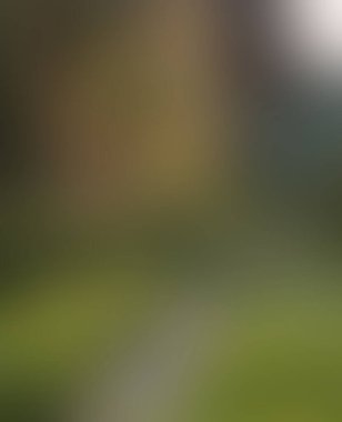 Abstract blur background of colors mixed 