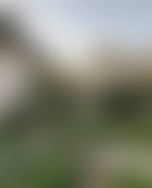 Abstract blur background of colors mixed 