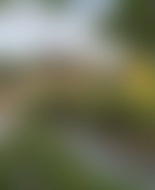 Abstract blur background of colors mixed 