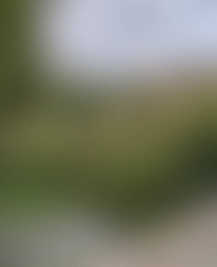 Abstract blur background of colors mixed 