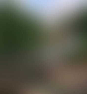 Abstract blur background of colors mixed 