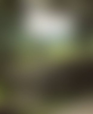 Abstract blur background of colors mixed 