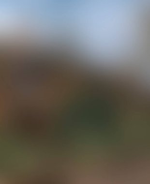 Abstract blur background of colors mixed 