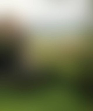 Abstract blur background of colors mixed 