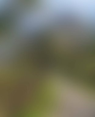 Abstract blur background of colors mixed 