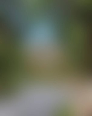 Abstract blur background of colors mixed 