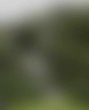 Abstract blur background of colors mixed 