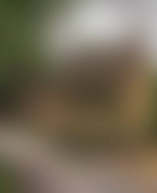 Abstract blur background of colors mixed 