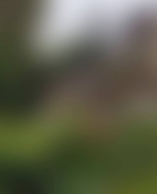 Abstract blur background of colors mixed 