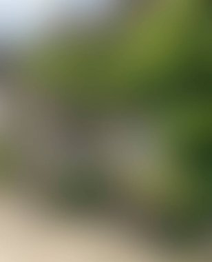 Abstract blur background of colors mixed 